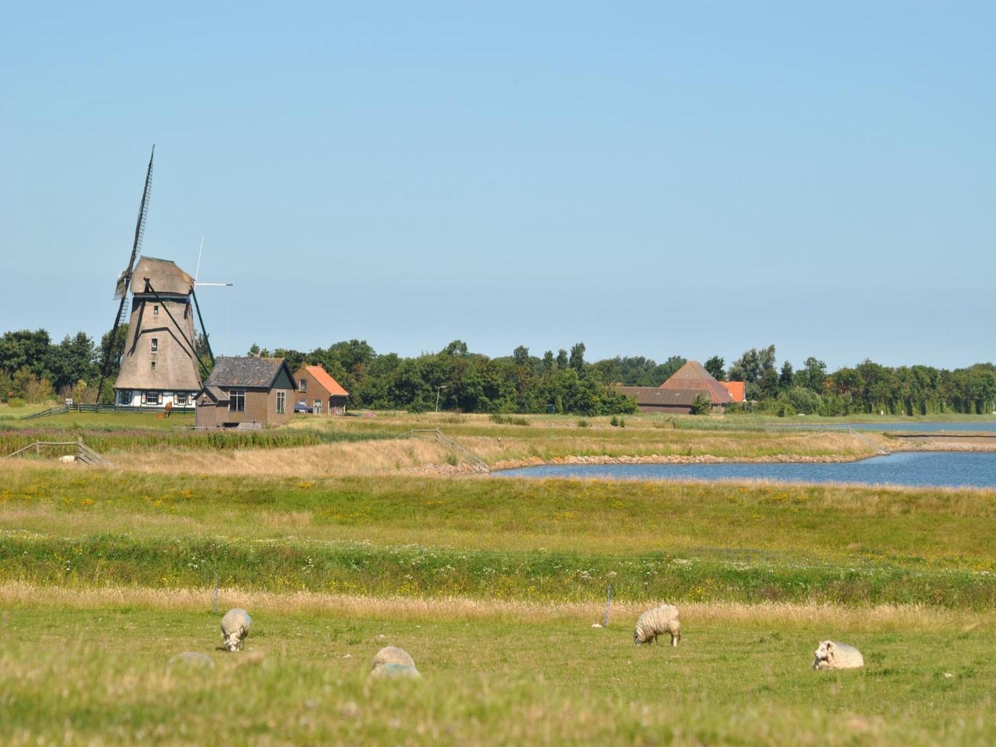 Charming Holiday Home In Texel Near Sea Oost  Εξωτερικό φωτογραφία
